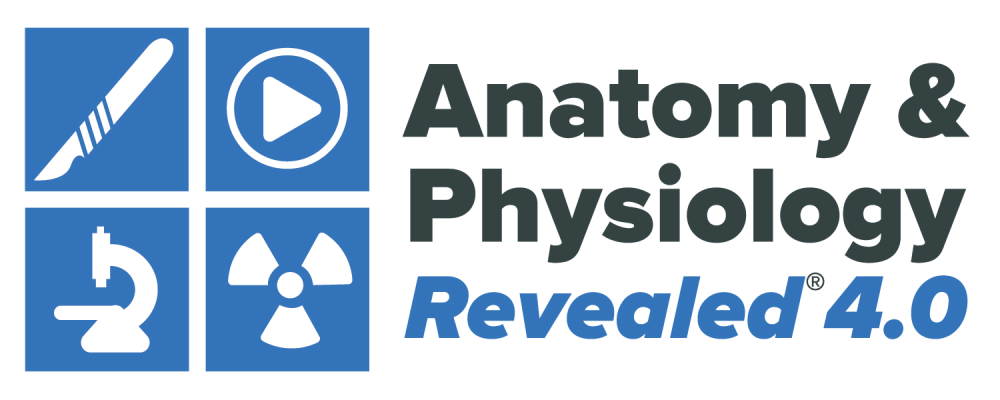 Anatomy & Physiology Revealed 4.0